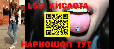 гашик Будённовск