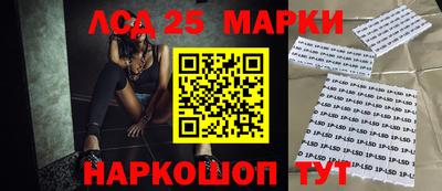 гашик Будённовск