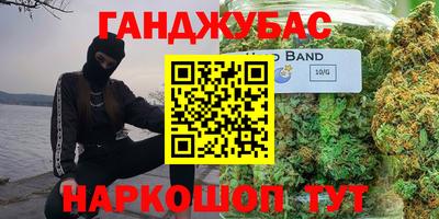 гашик Будённовск