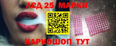 гашик Будённовск