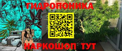стаф Бугуруслан
