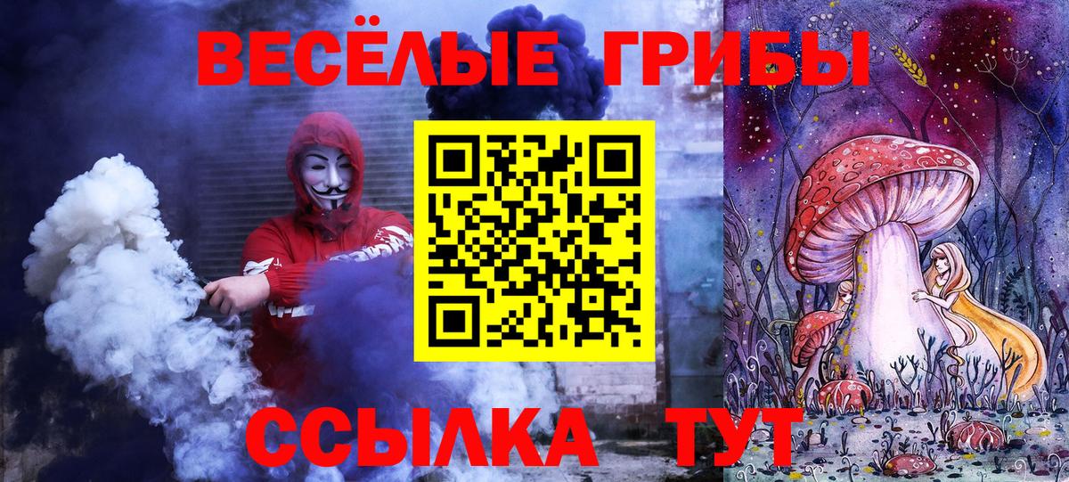 Галлюциногенные грибы Psilocybe Лобня